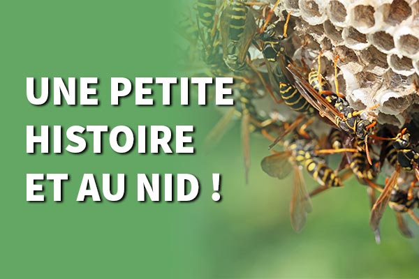 petite histoire de nid