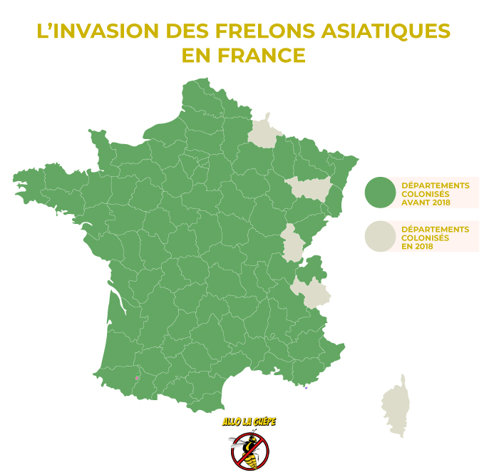 carte de l'invasion des frelons asiatiques en France
